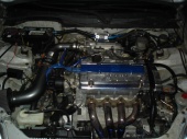 DSC09518 (Custom).JPG